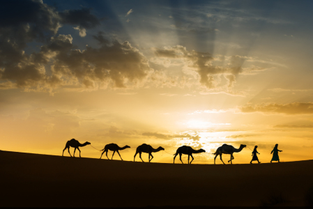 Picture no: 12737125 Desert Dream Created by: sarosa