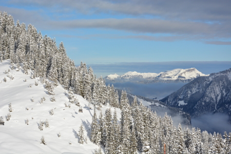 Picture no: 12741980 Neuschnee in der Schweiz Created by: Bettina Schnittert