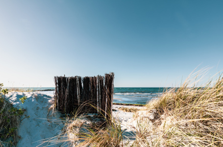 Picture no: 12747898 Dünen am Ostseestrand   Created by: Ursula Reins