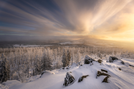 Picture no: 12781818 Harz im Winter Created by: Steffen Henze