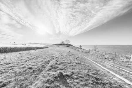 Picture no: 12808505 Der Sonne entgegen Created by: Ursula Reins