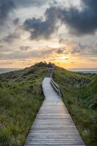 Picture no: 12809441 Der Weg zum Strand Created by: eyetronic