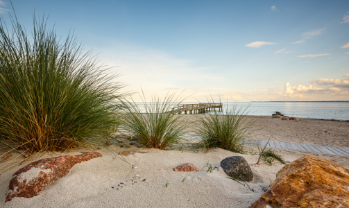 Picture no: 12812237 Stranddünen Created by: Werner Reins