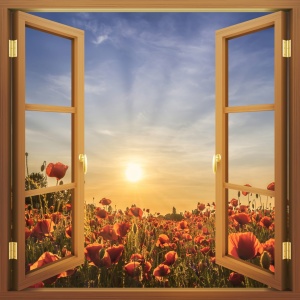 Picture no: 12819543 Aussicht auf die untergehende Sonne mi Mohnblumen Created by: Melanie Viola