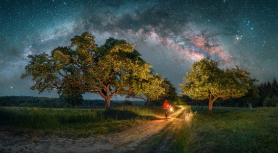 Picture no: 12834682 Mann mit Laterne geht unter der Milchstraße Created by: Smileus