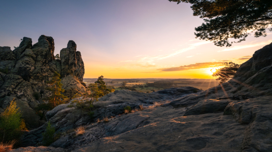 Picture no: 12841432 Hamburger Wappen im Sonnenlicht  Created by: Steffen Henze