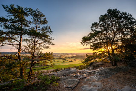 Picture no: 12841433 Die Kiefern auf der Teufelsmauer  Created by: Steffen Henze