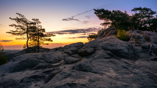 Picture no: 12841434 Steine an der Teufelsmauer  Created by: Steffen Henze