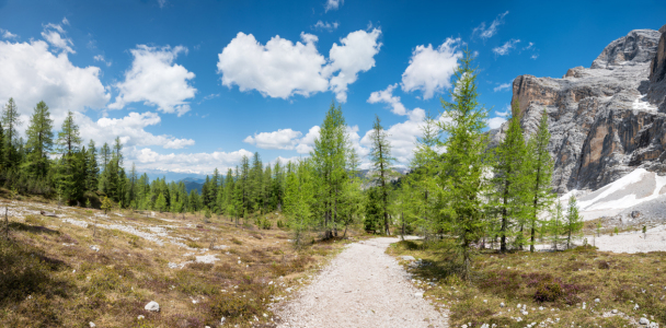Picture no: 12854411 Wanderweg am Heiligkreuzkofel Südtirol Created by: SusaZoom