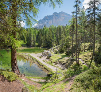 Picture no: 12854630 Lech de la Le am Heiligkreuzkofel Created by: SusaZoom