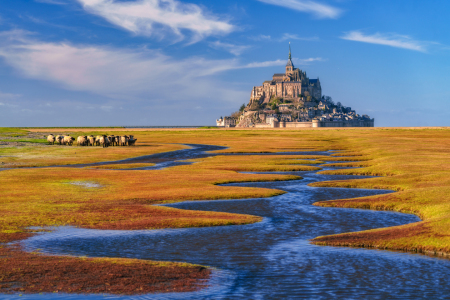 Picture no: 12877569 Le Mont Saint Michel - Normandie Created by: Achim Thomae