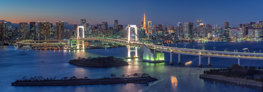 Picture no: 12884846 Tokyo Rainbow Bridge Panorama  Created by: eyetronic
