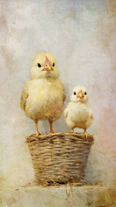 Picture no: 12886568 Wo sind die Eier KI Created by: Heike  Hultsch