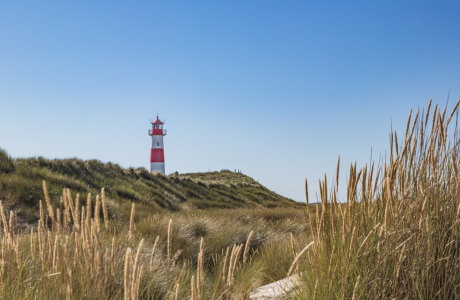 Picture no: 12893581 Sylter Wahrzeichen in den Dünen Created by: Ursula Reins