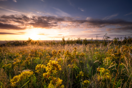 Picture no: 12904901 Sonnenuntergang beim Dammhaus  Created by: Steffen Henze
