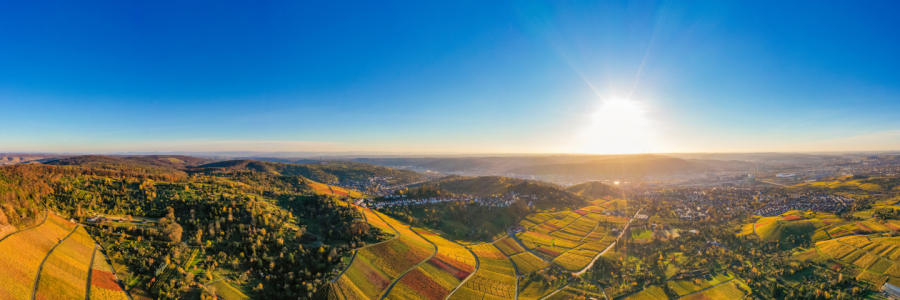 Picture no: 12905270 Luftbild Panorama Weinberge in Stuttgart Created by: dieterich