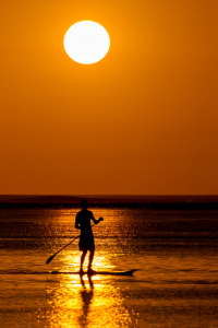 Picture no: 12916085 Stand up paddling Created by: DirkR