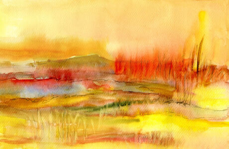 Picture no: 12916902 Morgenlicht Created by: ClaudiaG