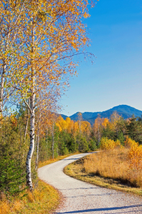 Picture no: 12925122 Weg durch die Isarauen im Herbst Created by: SusaZoom