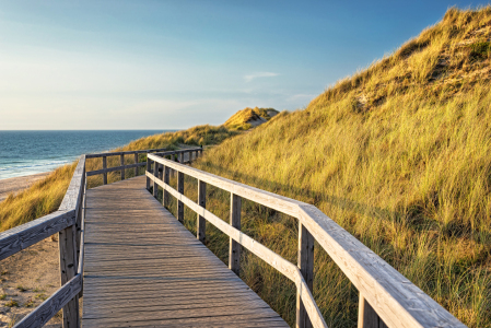 Picture no: 12925189 Auf dem Holzweg Created by: Nordbilder