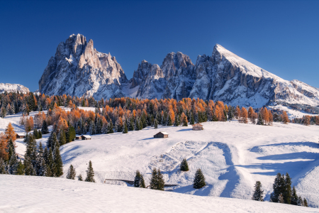 Picture no: 12926234 Seiser Alm Südtirol Created by: Achim Thomae