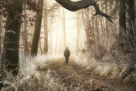 Picture no: 12930047 Einsamer Spaziergang im Winterwunderland Created by: Smileus