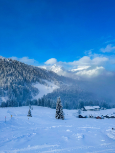 Picture no: 12932702 Winterlandschaft im Montafon Created by: DirkR