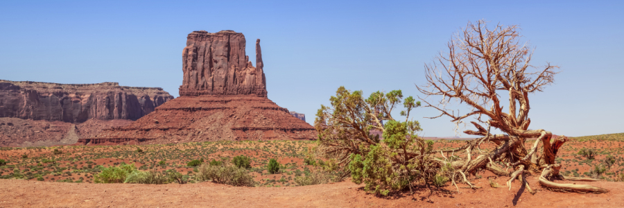 Picture no: 12933762 MONUMENT VALLEY Sentinel Mesa und West Mitten Created by: Melanie Viola