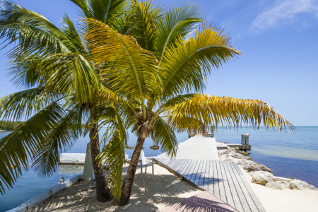 Picture no: 12933768 FLORIDA Traumhafter Blick  Created by: Melanie Viola