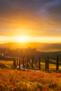 Picture no: 12935708 Sonnenuntergang über den Hügeln der Toskana Created by: Daniela Beyer