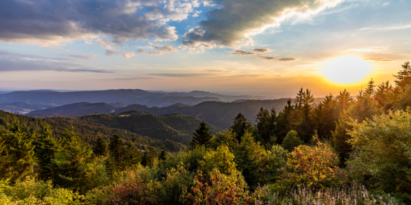 Picture no: 12936708 Blick vom Schliffkopf im Nationalpark Schwarzwald Created by: dieterich