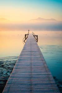 Picture no: 12937814 Frost am Chiemsee Created by: Martin Martin Wasilewski