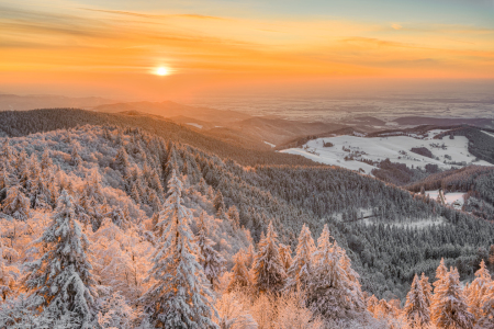 Picture no: 12388562 Winterabend im Schwarzwald Created by: Michael Valjak