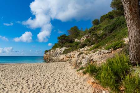Picture no: 12891600 Cala Anguila Strand auf Mallorca Created by: Kunze Kunze