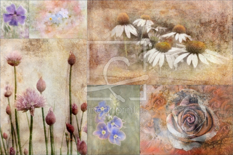 freely selectable image excerpt for your image on Door Foil