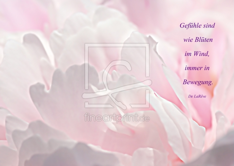 freely selectable image excerpt for your image on Door Foil