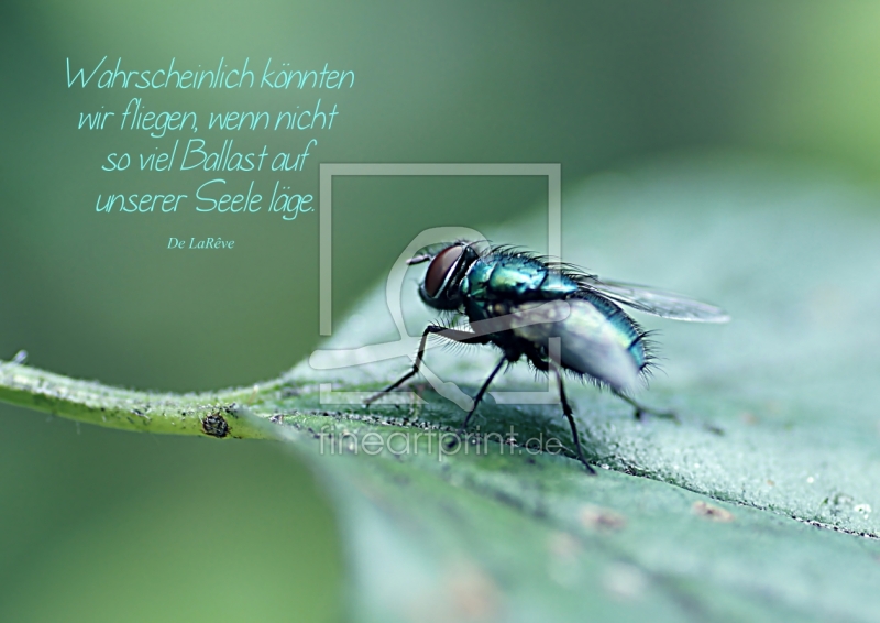 freely selectable image excerpt for your image on Door Foil