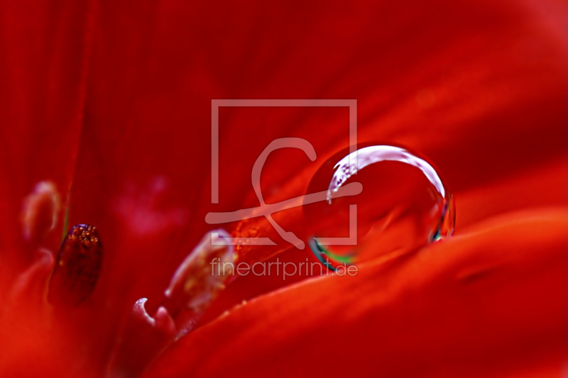 freely selectable image excerpt for your image on Door Foil