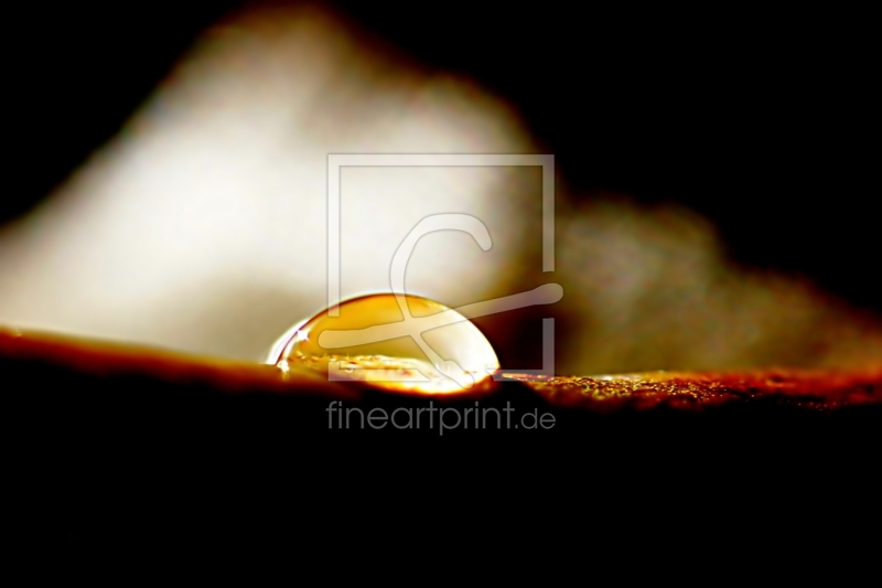 freely selectable image excerpt for your image on Door Foil