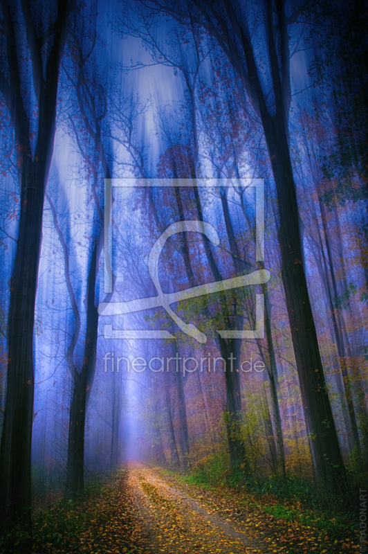 freely selectable image excerpt for your image on Door Foil