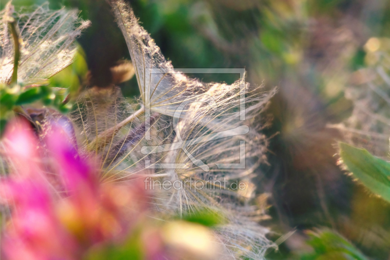 freely selectable image excerpt for your image on Door Foil