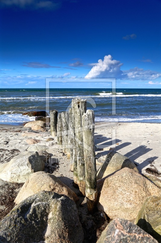 freely selectable image excerpt for your image on Door Foil