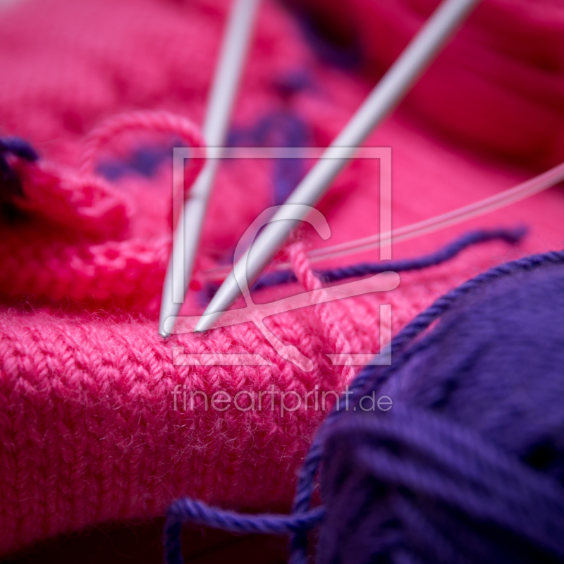 freely selectable image excerpt for your image on Door Foil