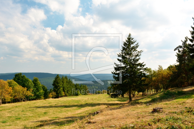 freely selectable image excerpt for your image on Door Foil