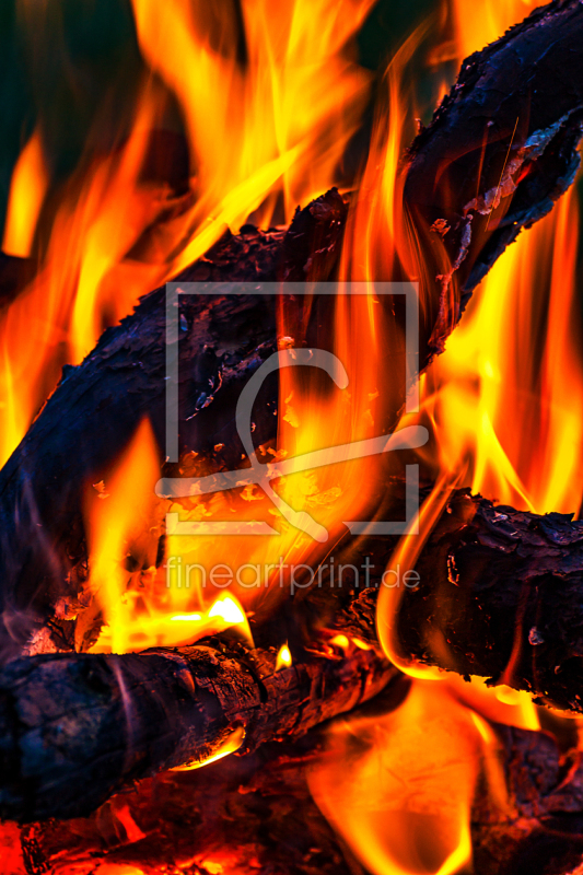 freely selectable image excerpt for your image on Door Foil