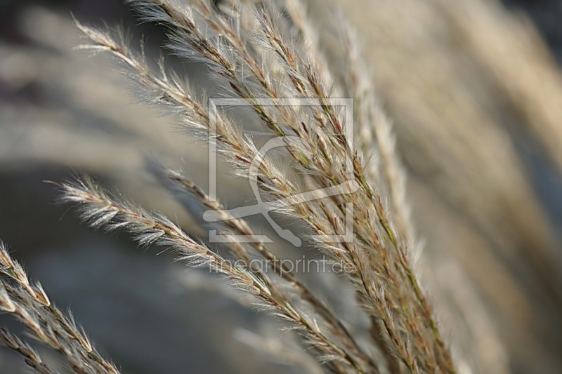 freely selectable image excerpt for your image on Door Foil