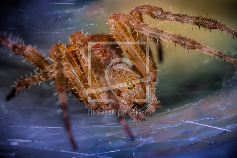 freely selectable image excerpt for your image on Door Foil