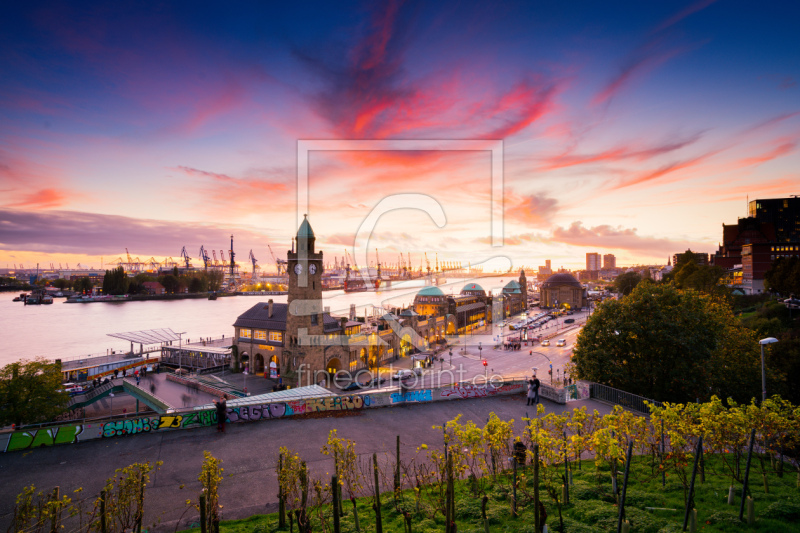 freely selectable image excerpt for your image on Door Foil