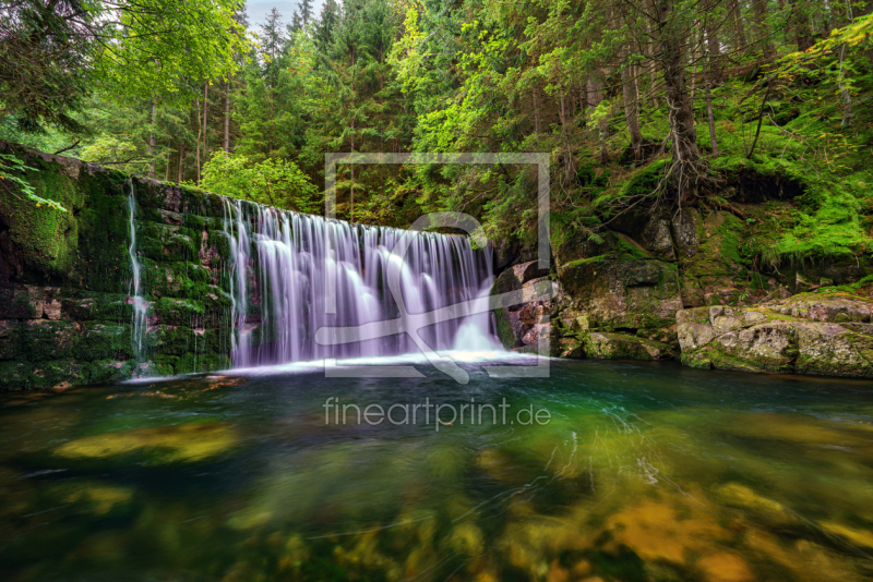 freely selectable image excerpt for your image on Door Foil