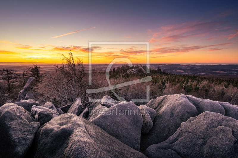 freely selectable image excerpt for your image on Door Foil